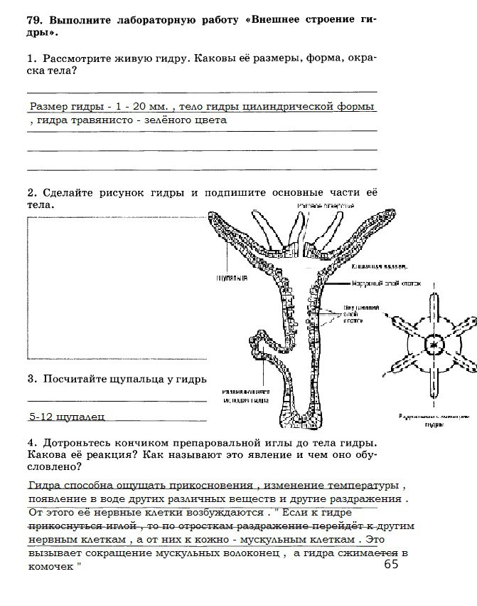 Оригинальные ссылки кракена